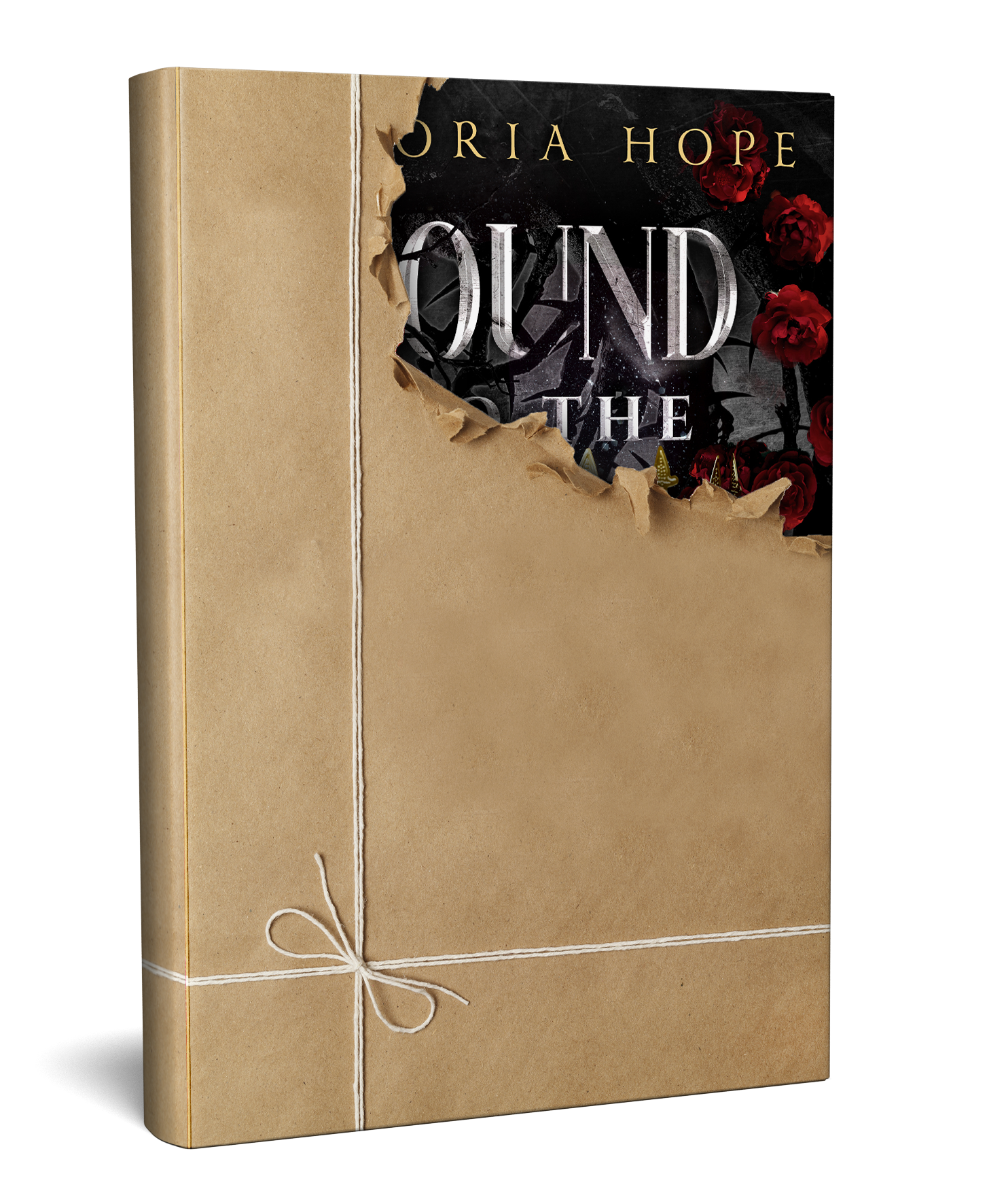 Wrapped book mock — cover reveal teaser