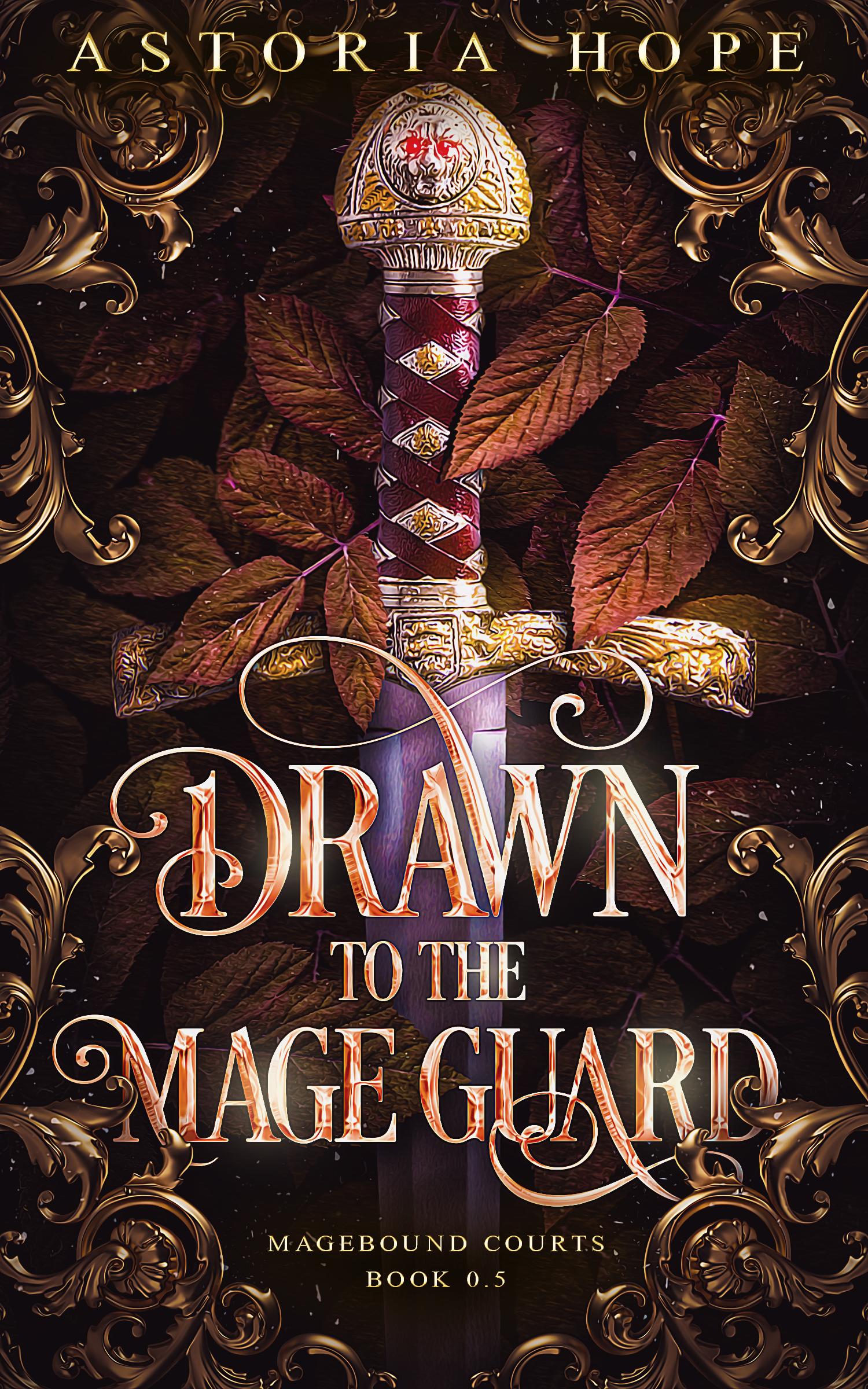 Drawn to the Mage Guard cover